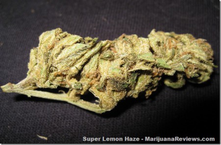Super Lemon Haze